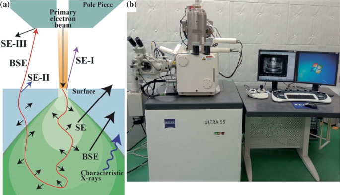 A schematic illustration on the left and a photograph of the F E - S E M instrument on the right. labeled primary electron beam on the top, S E III, B S E, S E II on the left, and S E I, surface on the right.