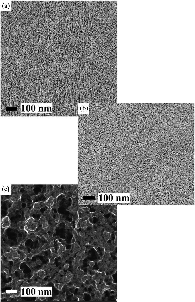 Three micrographs with scale bar 100 nanometers, present the various treatments. A has a branch-like pattern. B has a dot-like pattern. C has an irregular pattern.