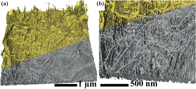 Two 3-D illustrations of the fracture surface. A with a scale bar of 1 micrometer, presents more outer fracture surface and a lesser inner parts of the fracture surface. B is the zoomed view of A at a scale bar of 500 nanometers. It presents the lesser outer fracture surface and most inner parts.