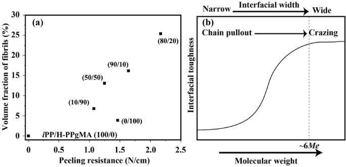 Two graphs. A. A scatter plot presents the percentage of volume fraction of fibrils versus peeling resistance with an upward trend. B. A line graph of interfacial toughness versus molecular weight. The line graph presents an S-shaped curve with chain pullout to crazing from left to right.