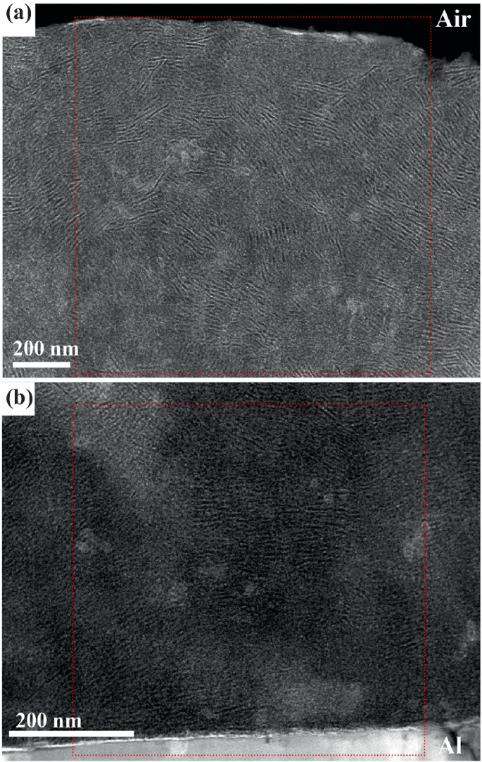 2 micrographs. a. A lighter surface with many sets of parallel series of fine lines, with a darker air medium above. b. Similar structure with a darker shade and intermittent lighter shades