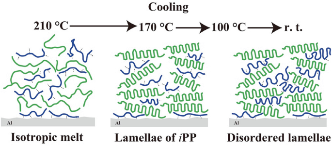 A schematic diagram presents the interphase formation. The process flow is as follows. Isotropic melt at cooling 210 degrees Celsius, lamellae of i P P at 170 degrees Celsius, and disordered lamellae at 100 degrees Celsius.
