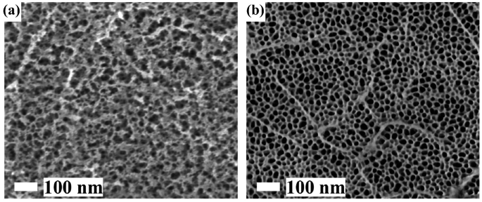 Two S E M micrographs with a scale bar of 100 nanometers. Both A and B present the tiny pores on the surfaces.