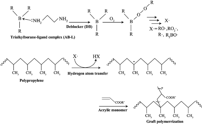 A chemical reaction presents the evaluation of the interfacial modification of i P P by an alkylborane-initiated acrylate-based adhesion process. It includes trialkylboraneligand complex, polypropylene, and acrylic monomer.