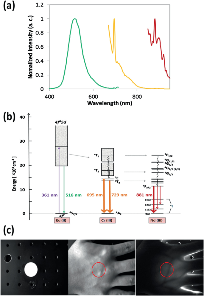 A spectra graph a, plots normalized intensity versus wavelength. An energy diagram b, illustrates the near-infrared M L material with an emission wavelength. A group of photographs in a row labeled c illustrates the bio-penetrating photos of the living human tissue of a hand.