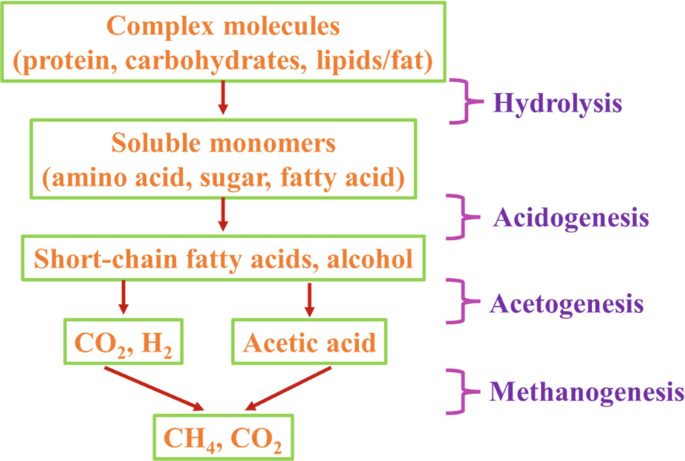 A process flowchart. It begins with the hydrolysis of complex molecules to produce soluble monomers, which, on acidogenesis, form short-chain fatty acids. Further on, acetogenesis forms C O 2, H 2, and acetic acid, which, on methanogenesis, produces C H 4 and C O 2.