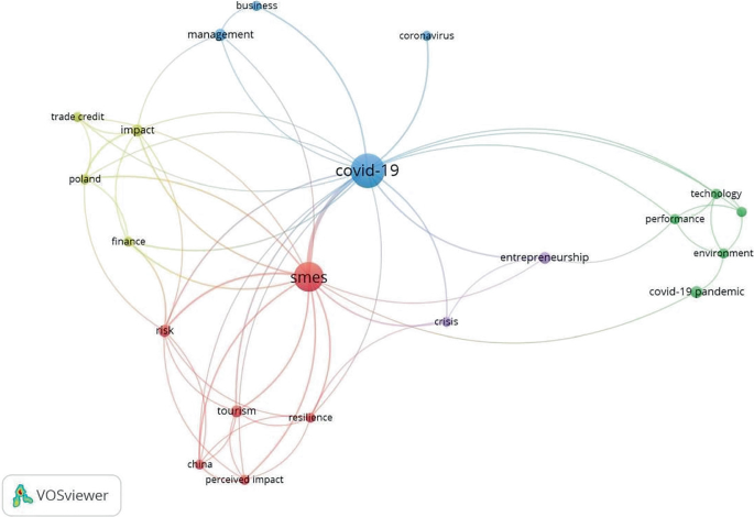 A word network depicts the results of the bibliometric analysis. Some of the words are COVID-19, entrepreneurship, performance, technology, trade credit, impact, tourism, and resilience.