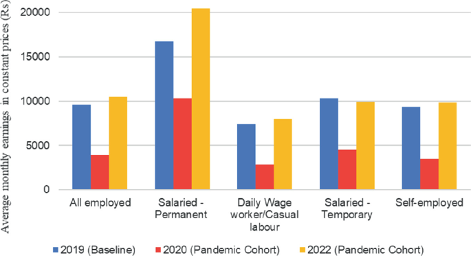 A grouped bar graph plots the average monthly earnings at constant prices in 2019, 2020, and 2022 for all employed, salaried permanent, daily wage workers, salaried temporary, and self-employed. The earnings for all employed, salaried permanent, casual labor, and self-employed are highest in 2022.