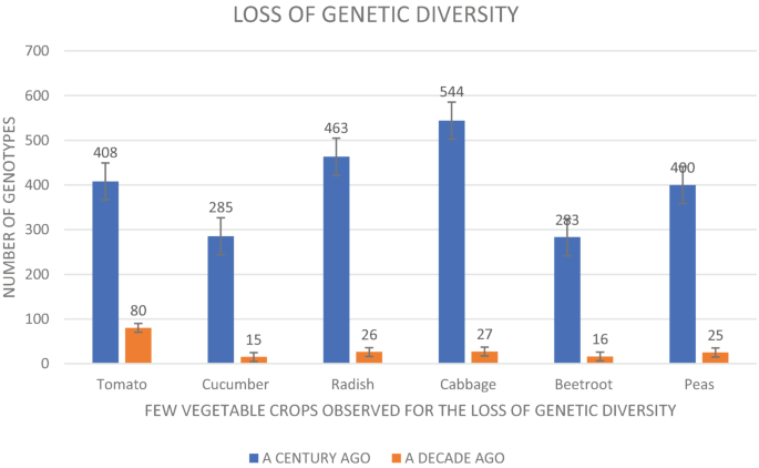 A cluster bar graph for the number of genotypes versus the few vegetable crops observed for the loss of genetic diversity. The value for a century ago peaked for cabbage at 544. The value for a decade ago peaked for tomatoes at 80.