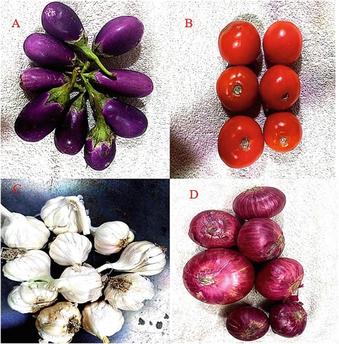 4 photos of vegetables like eggplants, tomatoes, cloves of garlic, and onions.
