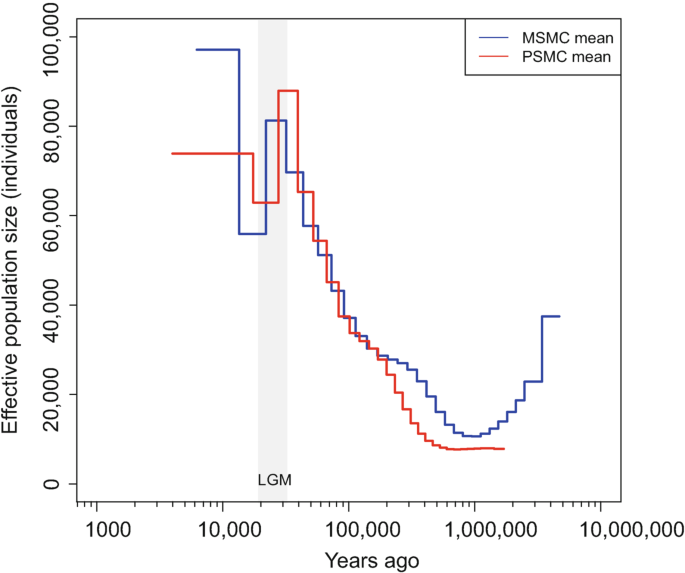 A dual-line graph for effective population size versus years ago plots data for M S M C mean and P S M C mean. Around 10,000 years ago the curve followed a step-like trend followed by a decrease in P S M C mean. M S M C mean also follows decreasing pattern till 1,000,000 but then increases.