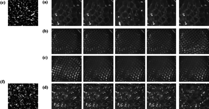 Four sets of image sequences a to d display the silicon oil patterns at various frequencies, which are indicated by lighter and darker shades. Images e and f display the silicon oil patterns at 20 and 80 hertz, respectively.