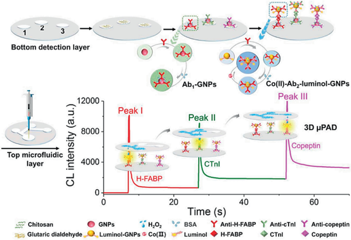 A diagram of 3 D micro P A D test includes a bottom detection layer with 3 sensing zones, followed by A b 1 G N Ps, and C o 2 A b 2 luminol G N Ps. A spectrum of top microfluidic layer, with C L intensity versus time, has 3 peaks of H F A B P, C T n L, copeptin.