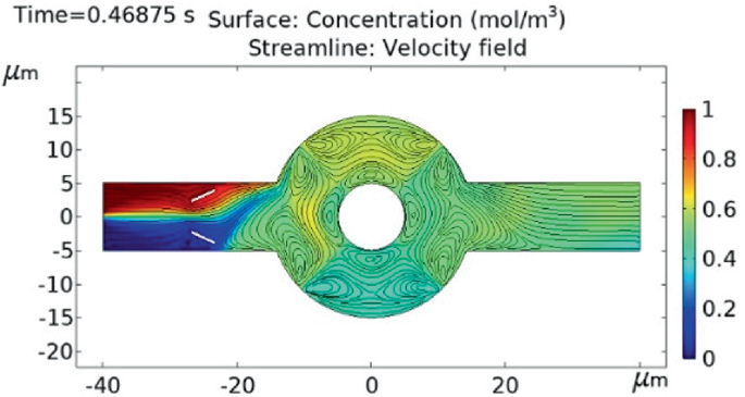 An illustration of model geometry. The structure has contours of the surface concentration and streamlines of the velocity field. The upper part of the inlet side has high values and the lower part has low values. The ring and outlet have contours of average values and vortices in the ring.