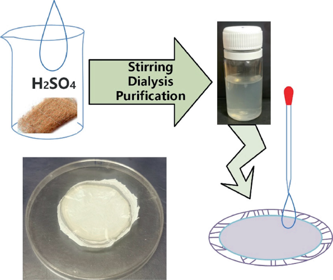 An illustration depicts the stirring dialysis purification by adding H 2 S O 4.