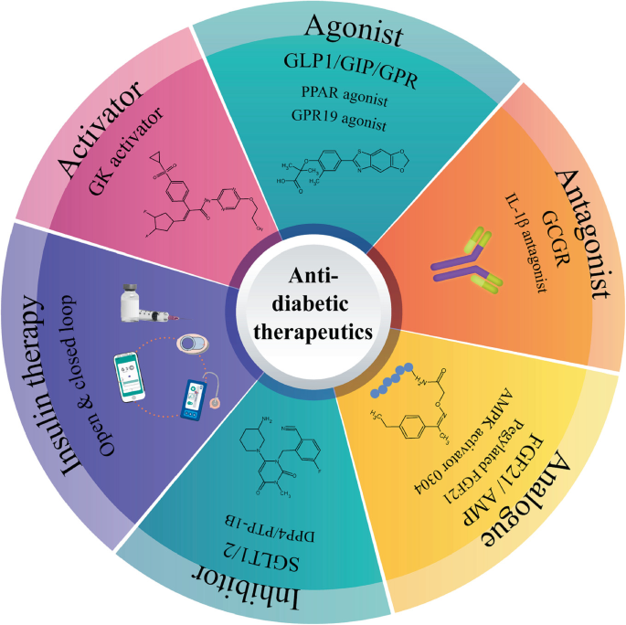 Diabetes Mellitus: Exploring Alternative Therapies