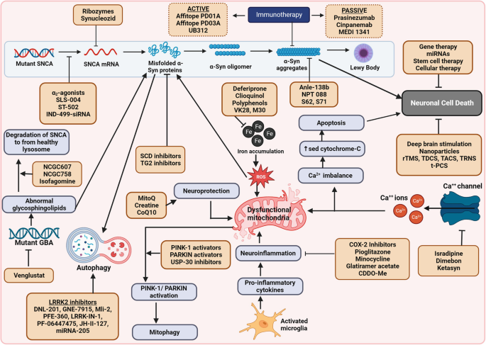 glutathione vs creatine Creatine vs Carnitine Effects for Athletes
