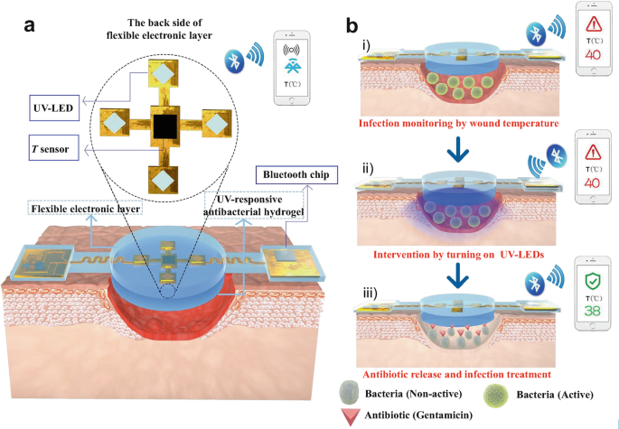 Skin Regeneration | Springer Nature Link Skin Regeneration | Springer Nature Link