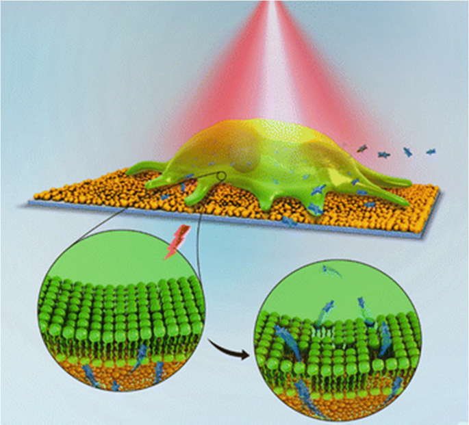 An illustration of macromolecular delivery features a rectangular platform with a colored globular structure on the top and a colored beam over it. Below is a magnified view of the platform surface.