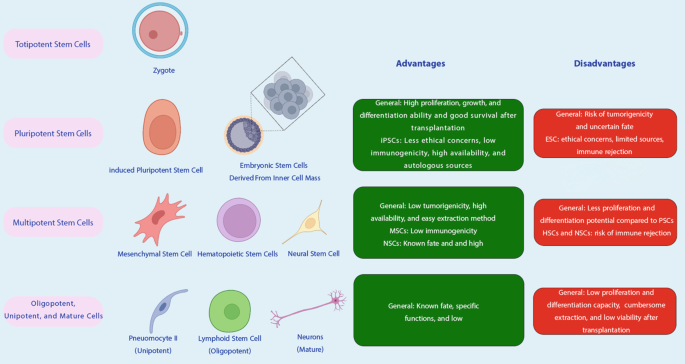 Emerging Stem Cell Therapy and Tissue Engineering-Based Approaches in ...