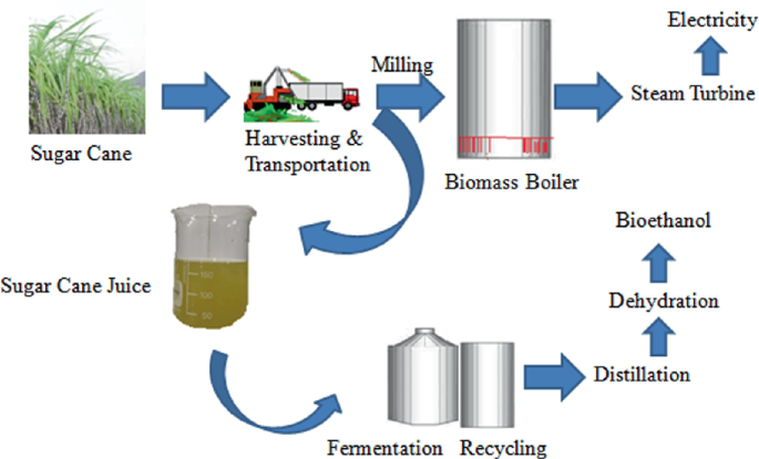 Recent Developments and Applications in Bioconversion and Biorefineries ...