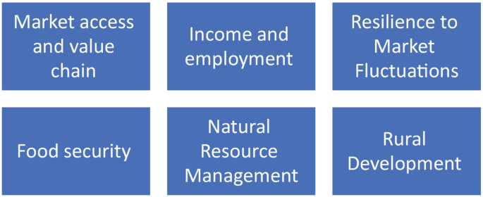 A block diagram of agroforestry contribution to reduce poverty. The agroforestry contribution to reduce poverty are as follows. Market access and value chain. Income and employment. Resilience to market fluctuations. Food security. Natural resource management. Rural development.