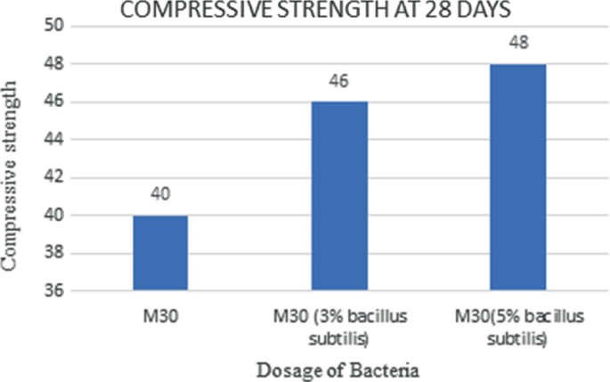 A bar graph of the compressive strength at 28 days for M 30 concrete by 3 categories. M 30 with 5% Bacillus subtilis tops with a value of 48, followed by 3% Bacillus subtilis with 46, and that without any bacteria with 40.