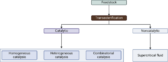 A chart exhibits the biodiesel production method. The feedstock undergoes transesterification, which includes catalytic and noncatalytic. The catalytic process includes homogeneous catalysis, heterogeneous catalysis, and combinational catalysis. The noncatalytic process includes supercritical fluid.