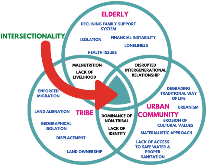 Tribal Elderly in Urban Community | SpringerLink