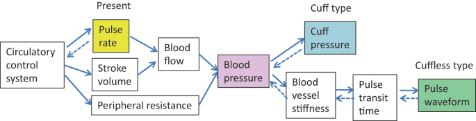 A diagram illustrates that continuous blood pressure estimation is derived by solving the forward problem of a straightforward model capturing circulatory dynamics and control. Cuff-type and cuffless blood pressure measurements are based on pulse waveform or propagation time.