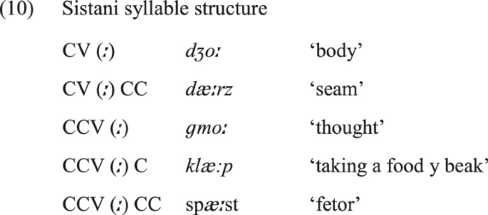 On the Analysis of Geminates in Sistani Dialect | SpringerLink