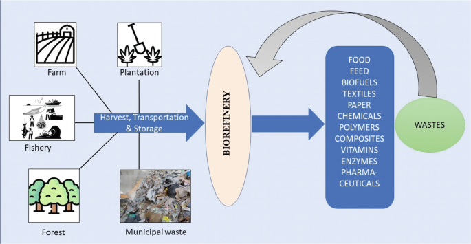 A flowchart of the working of a biorefinery. The output from plantations, farms, fisheries, forests, and municipal wastes is harvested, transported, and stored in a biorefinery and converted into food, feed, biofuels, and textiles. The waste generated is transported back to biorefineries.