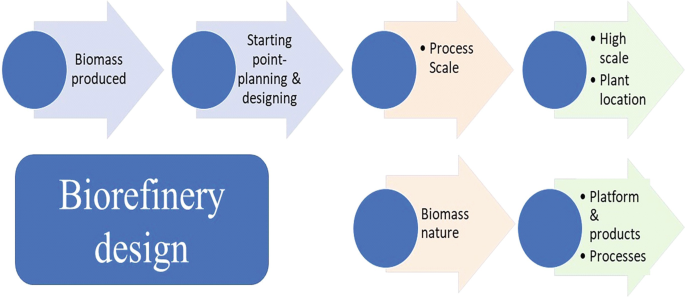 A flowchart of the important steps in biorefinery design. It consists of biomass produced, starting point planning and designing, process scale, high scale and plant location, biomass nature, platform, products, and processes.