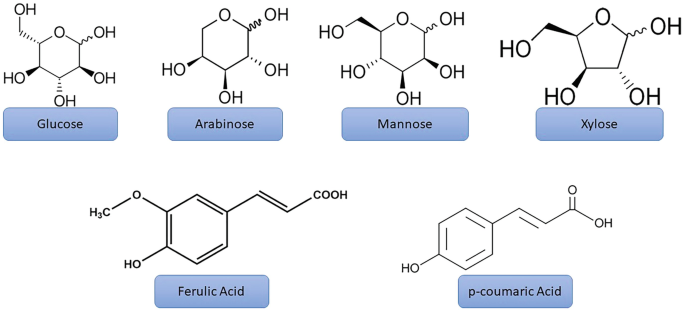 A set of chemical structures of compounds in rice straw. The compounds are glucose, arabinose, mannose, xylose, ferulic acid, and p coumaric acid.