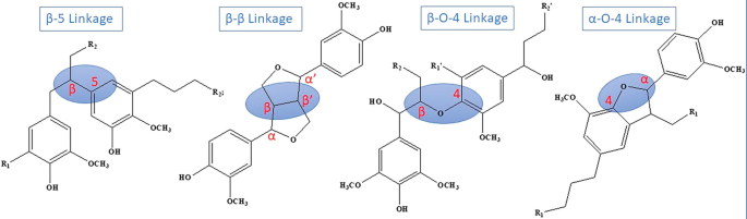 A set of structures for linkages in lignin. The linkages are beta 5 linkage, beta beta linkage, beta O4 linkage, and alpha O4 linkage.