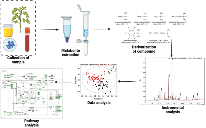 The flow diagram of G C, M S for metabolomics. The flow is as follows. Collection of sample. Metabolite extraction. Derivatization of compound. Instrumental analysis. Data analysis. Pathway analysis.