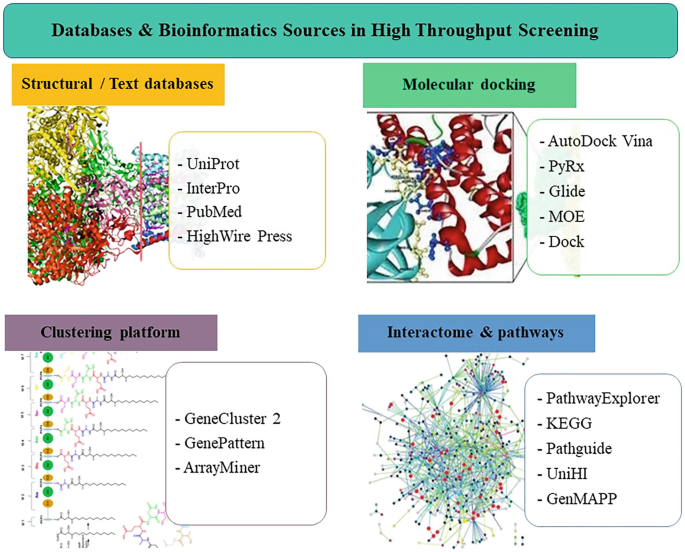 A chart of the databases and bioinformatics sources in High Throughput Screening. The sources include structural and text databases. Molecular docking. Clustering platform. Interactome and pathways.