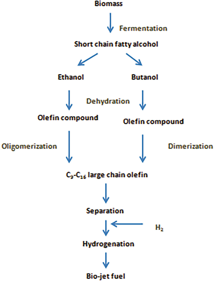 A flow diagram has biomass, via fermentation leading to short chain fatty alcohol, to ethanol and butanol. Each links to olefin compound with dehydration. Both link to C 2 to C 26 large chain olefin, through oligomerization or dimerization, to separation, then hydrogenation, to bio jet fuel.