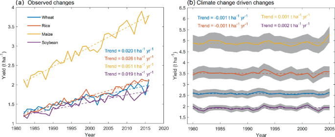 Two graphs give the data for changes in yield with observed changes and climate change driven changes. In the observed change graph, maize has the highest yield and soy bean has the lowest yield.