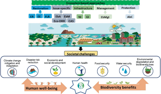 A diagram. Ecosystem based approaches lead to societal challenges that link to human well being and biodiversity benefits. Ecosystem based approaches are restoration, issue specific, infrastructure, management, and protection. The challenges are human health, food security, water security, and more.