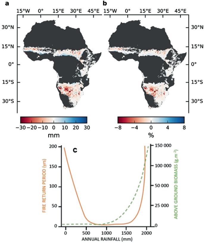 3 parts. A and B are maps of Africa for rainfall lost and rainfall modifications. Its shades are across the central region from West to East and the southern region. C, A line graph plots an increasing curve for above ground biomass and a concave upward curve for fire return period.
