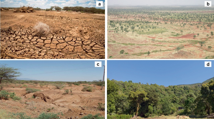 4 photographs. A, a dry land. B, a wide shot of a plain with scattered trees. C, a degraded land with an eroded surface. Few vegetations are present. D, a dense forest.