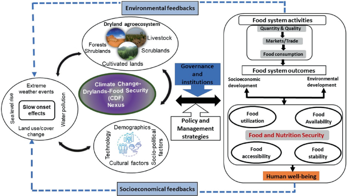 A chart. A diagram for C D F Nexus has 3 interlinked circles for slow onset effects, dryland agrosystem, and demographics and other factors. It links to a flow chart that has food system activities and outcomes, food nutrition security, and human well being. The chart leads to flow onset effects.