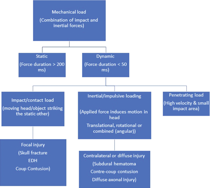 Craniocerebral Trauma | Springer Nature Link