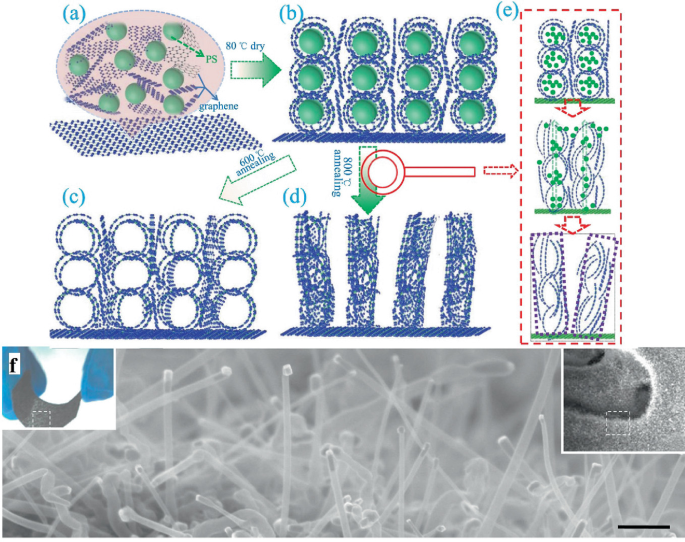 6 illustrations. A to e illustrates different graphene nanowire fabrication through drying at 80 degrees Celsius, 600, and 800 degrees Celsius annealing. F highlight an S E M image of 3 D graphene nanowires.