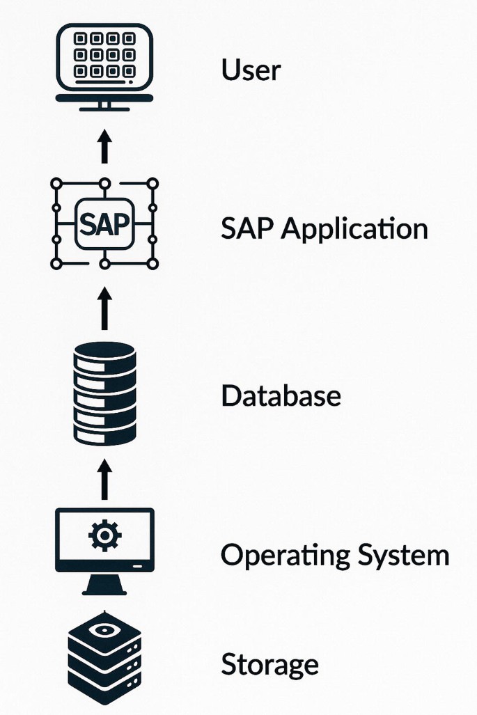 Sap Database Process AWS and SAP Technical Partnership | SpringerLink