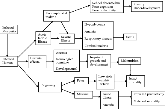 figure 12_3_116831_1_En