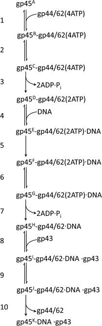 figure 16_3_117964_1_En