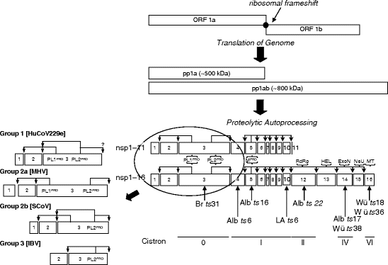 figure 2_4_117964_1_En