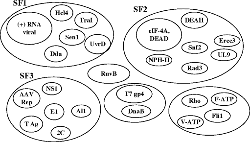 figure 20_1_117964_1_En